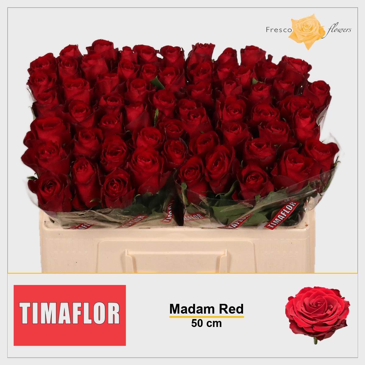 Rosa Madam Red 50cm