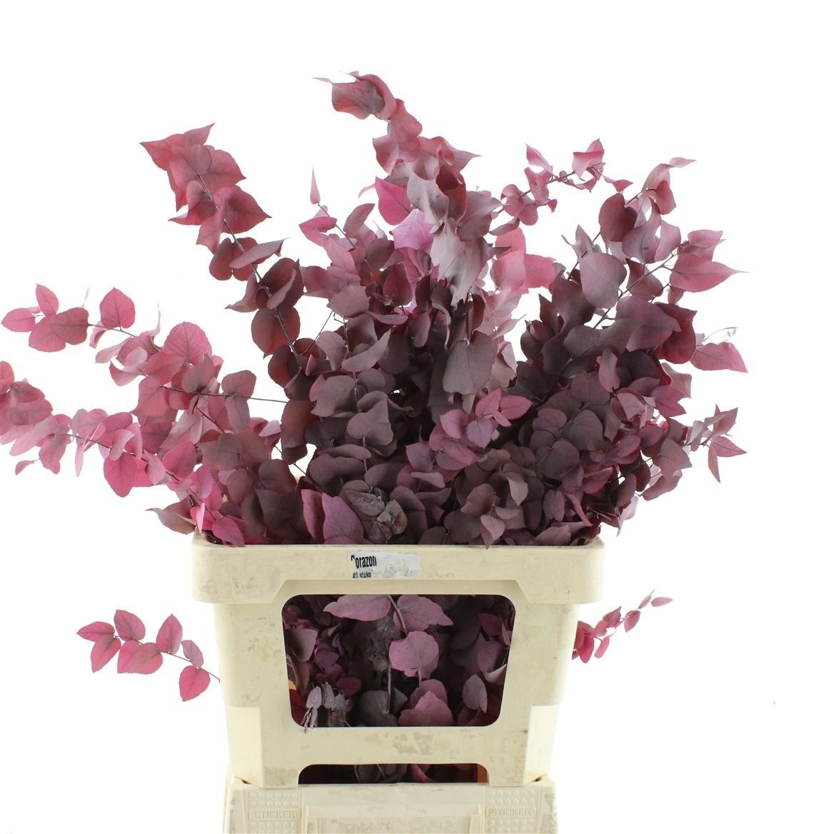 Decoration Greens Painted 70cm 200gram