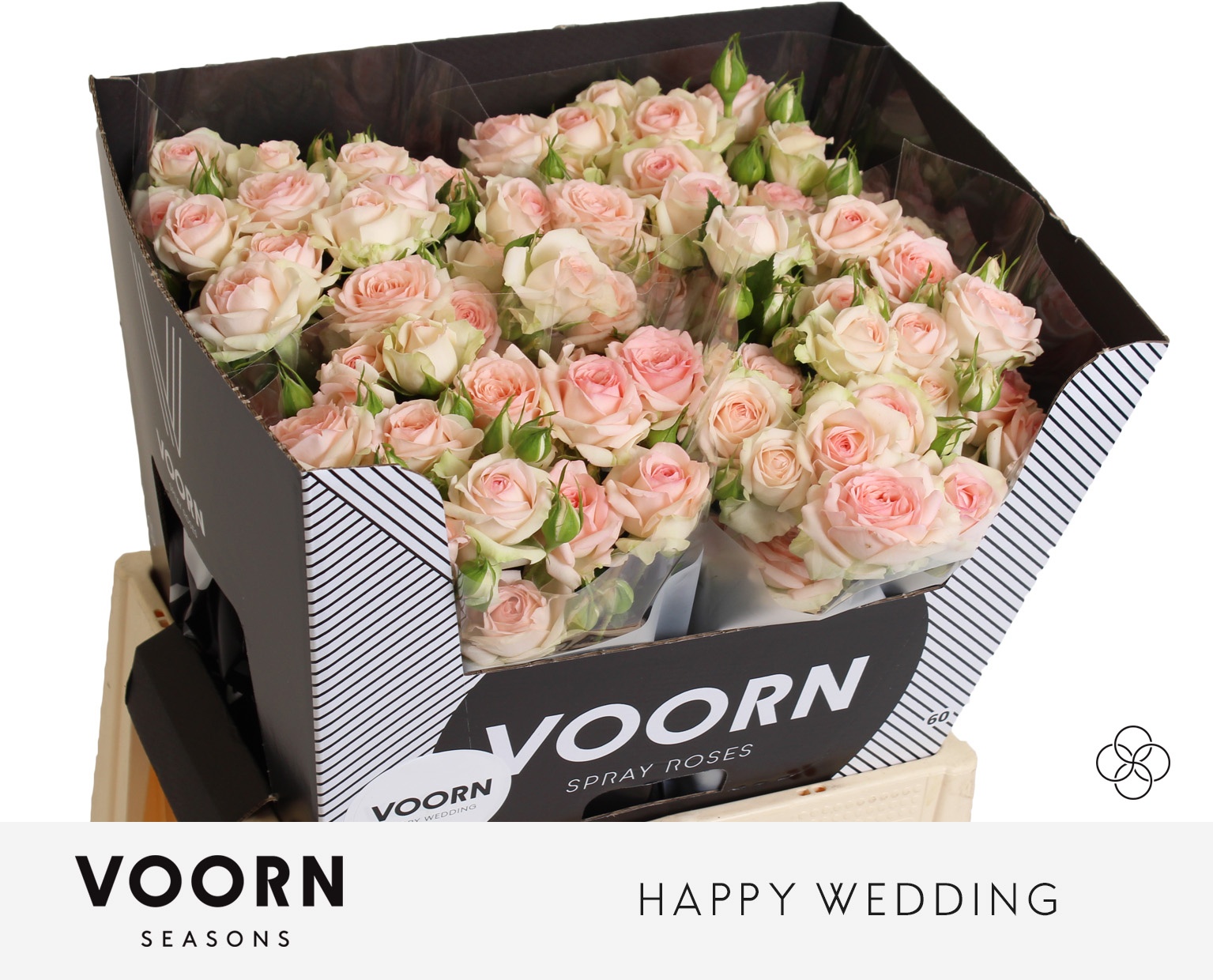 R Tr Happy Wedding 60cm