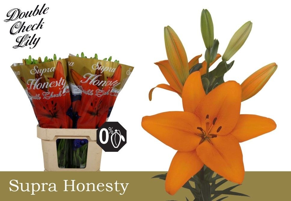Li La Honesty