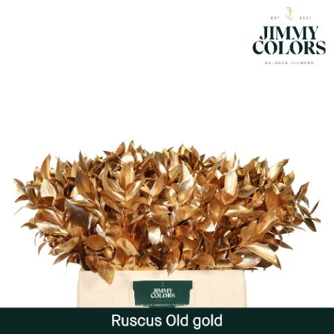 Ruscus L60 Mtlc. Antique Gold