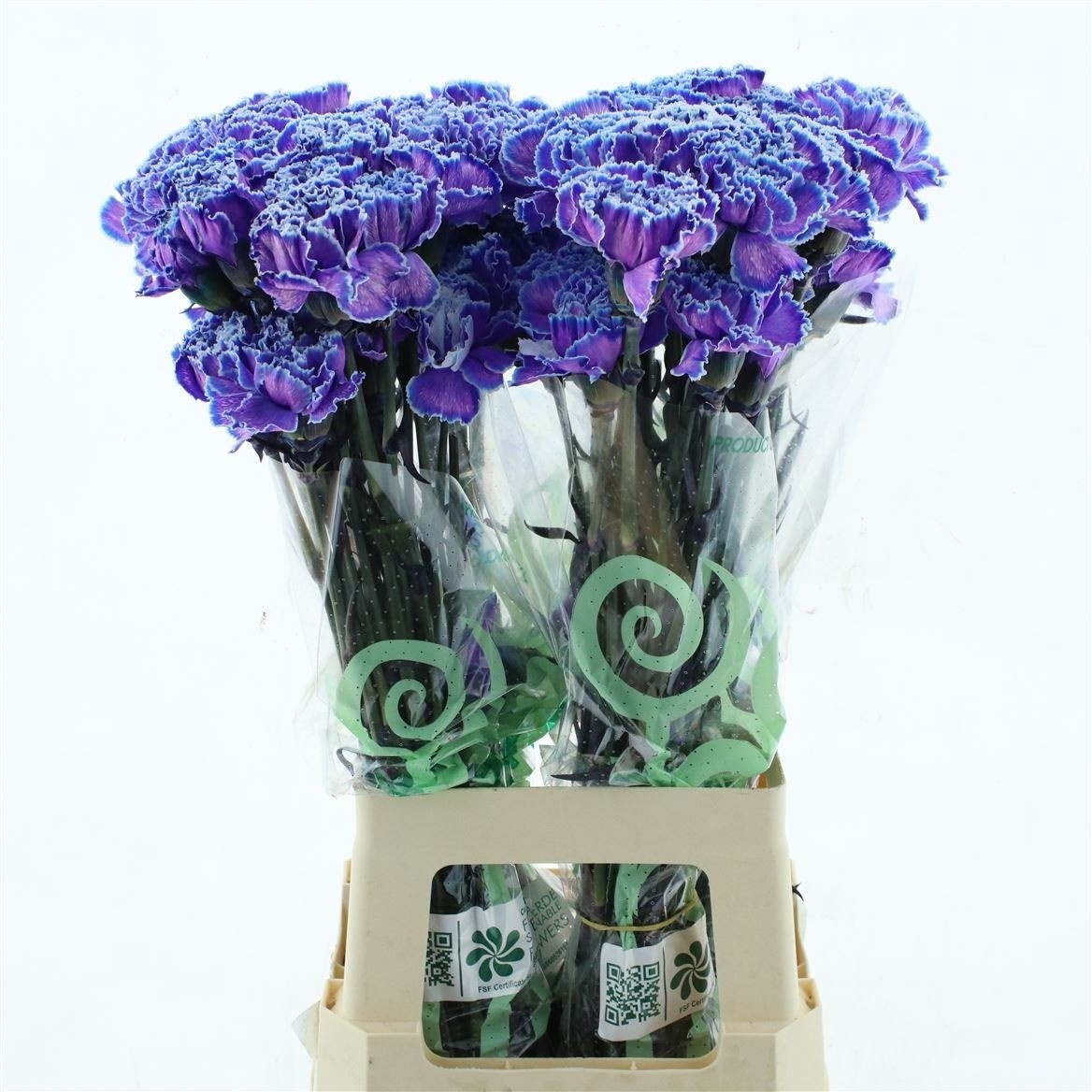 Dianthus St Painted 70cm