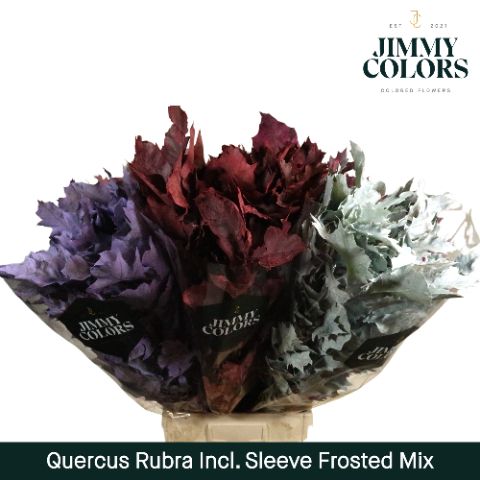 Quercus Rubra Sleeve L80 Frosted Mix
