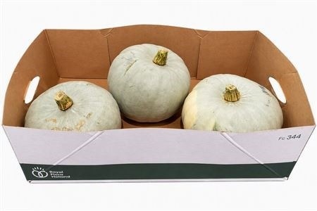 Ornamental Fruits Per Piece