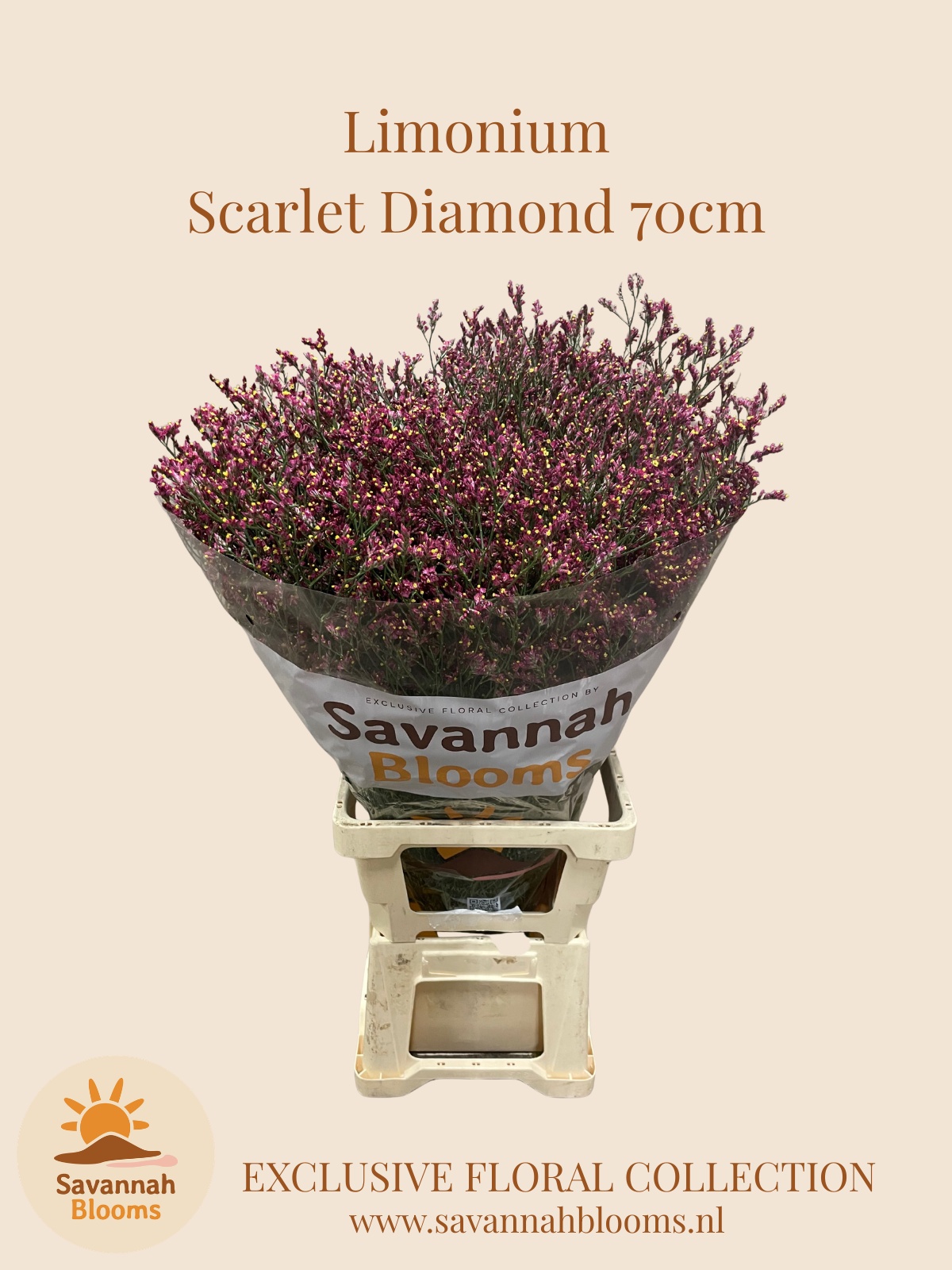 Limonium Sin Scarlett Diamond 70cm 35gram