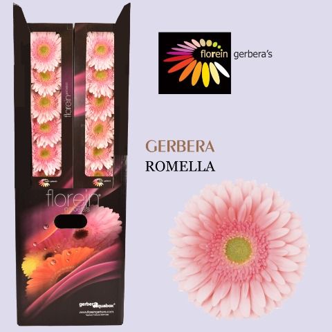 Ge Gr Romella