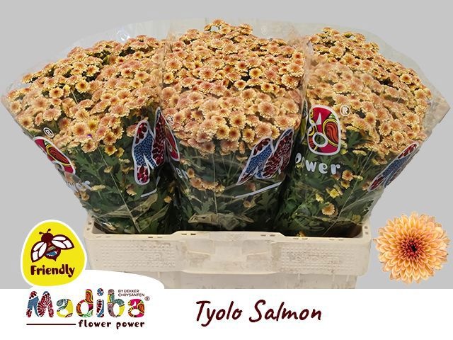 Chr S Mad Salm Tyolo