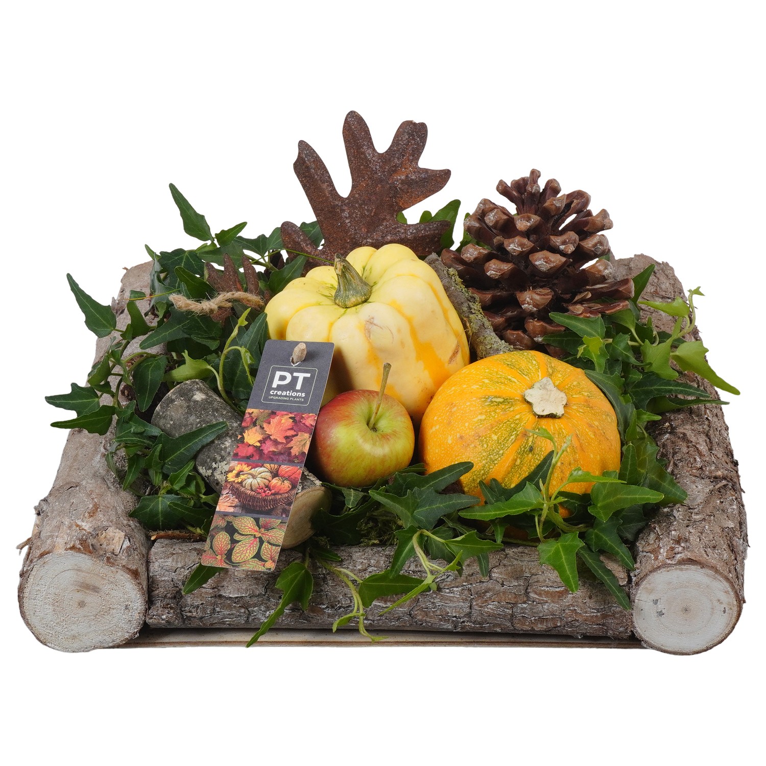 Picture of PTKBH5317 Arrangement Autumn Fruitson wooden plate P27 18cm