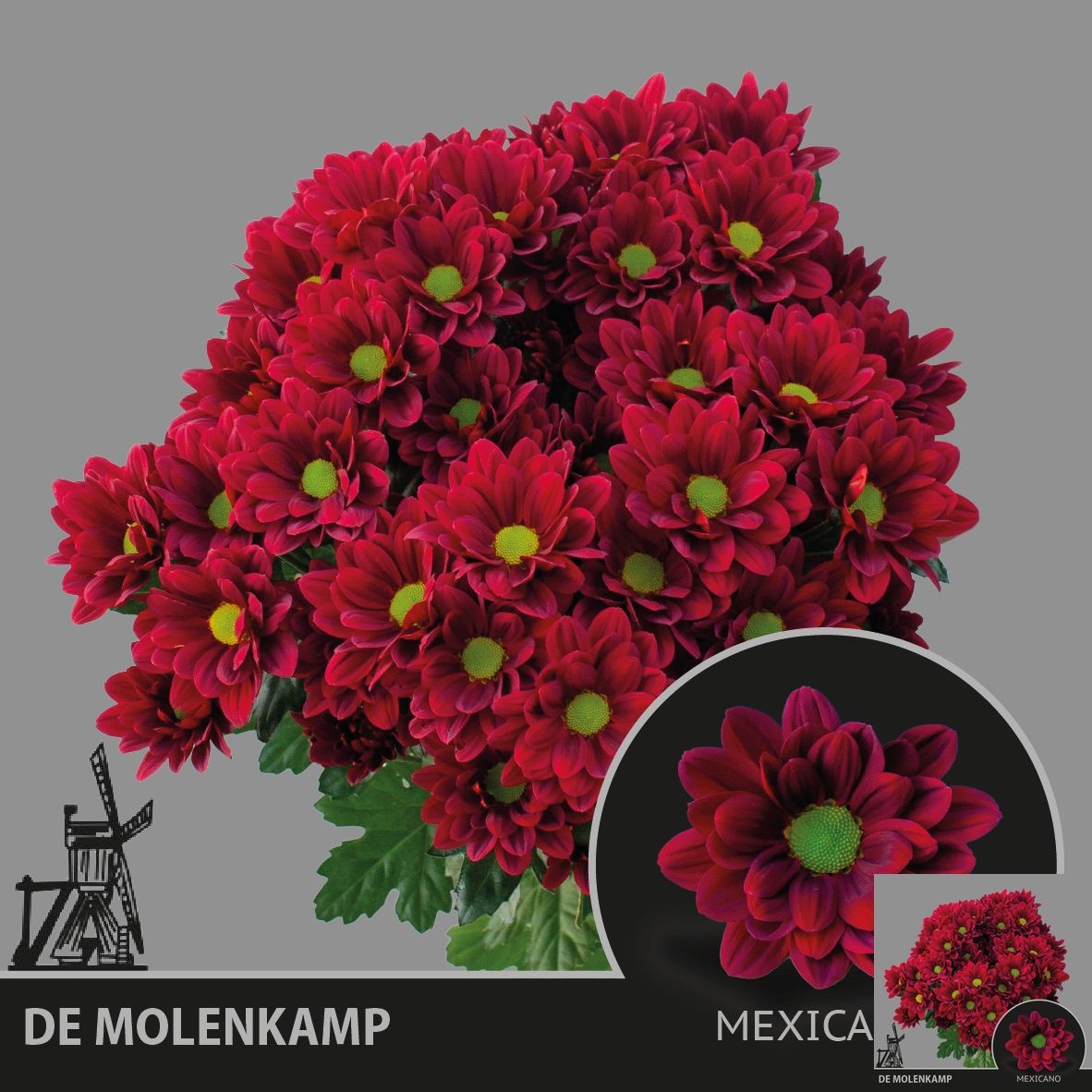 Chrys Spray Mexicano 80gram
