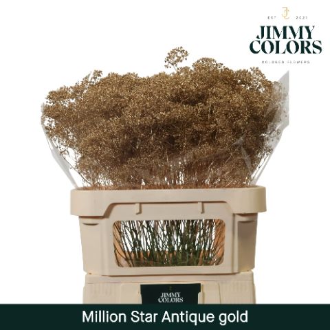 Gyps Million Star L80 Metallic Antique Gold