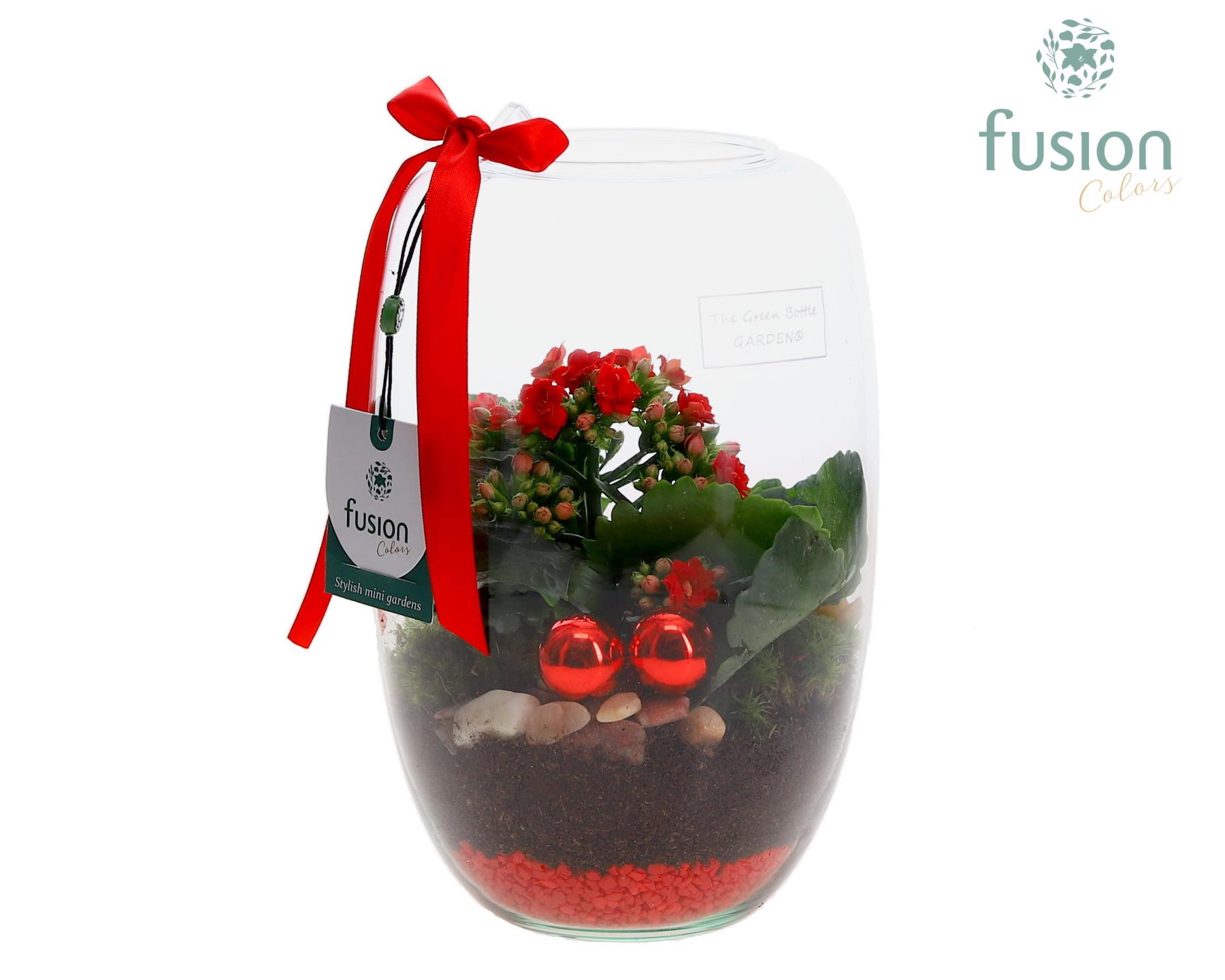 Picture of X-Mas arrangement Green Bottle Isabella Small FC-24.0055FDH P15 25CM