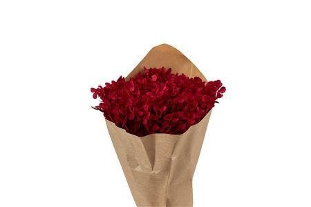 Dried/preserved Flowers Misc 50cm