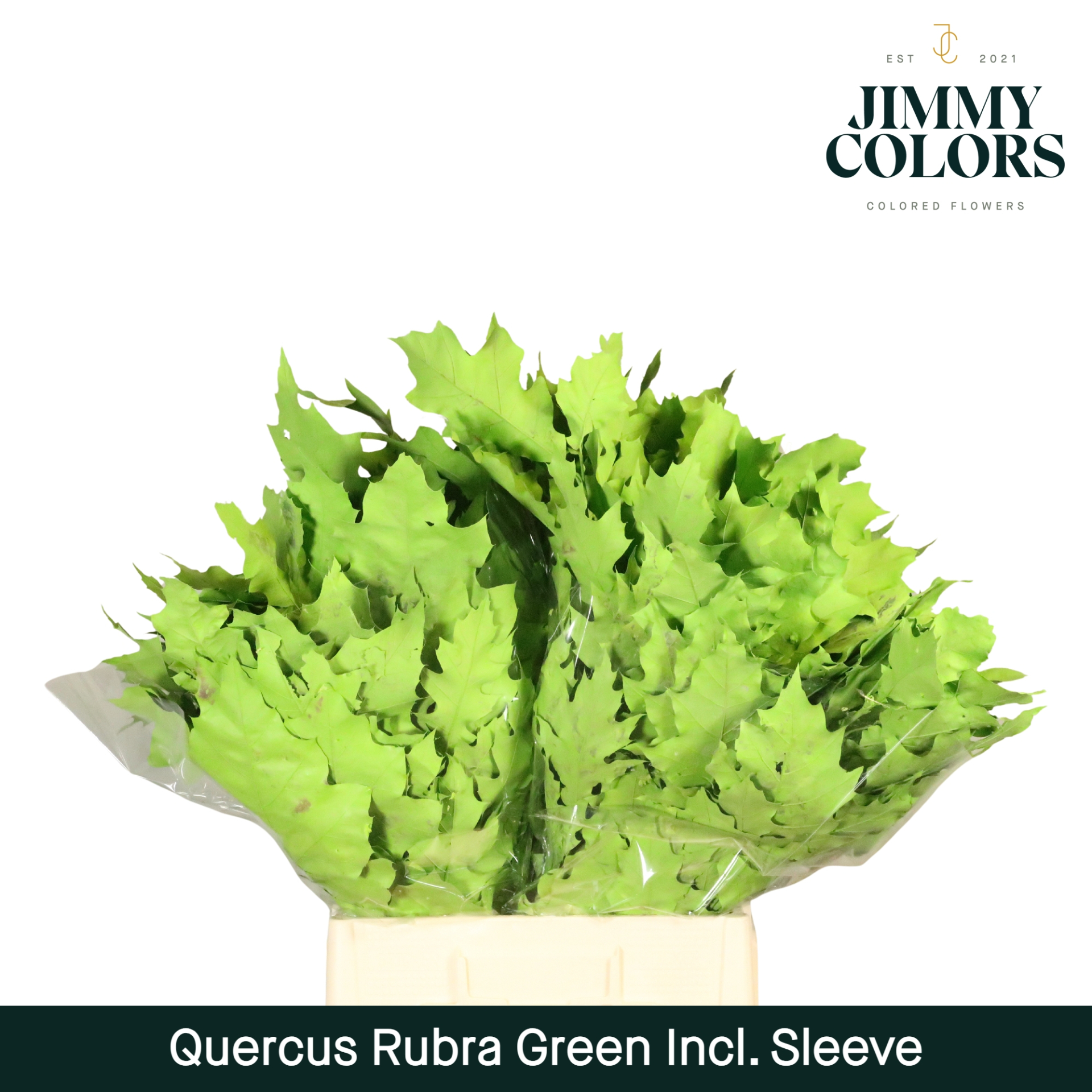 Quercus Rubra Sleeve L60 Groen