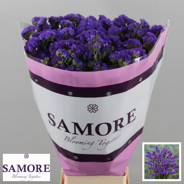 Limonium St Navy Sun Birds 70cm 80gram