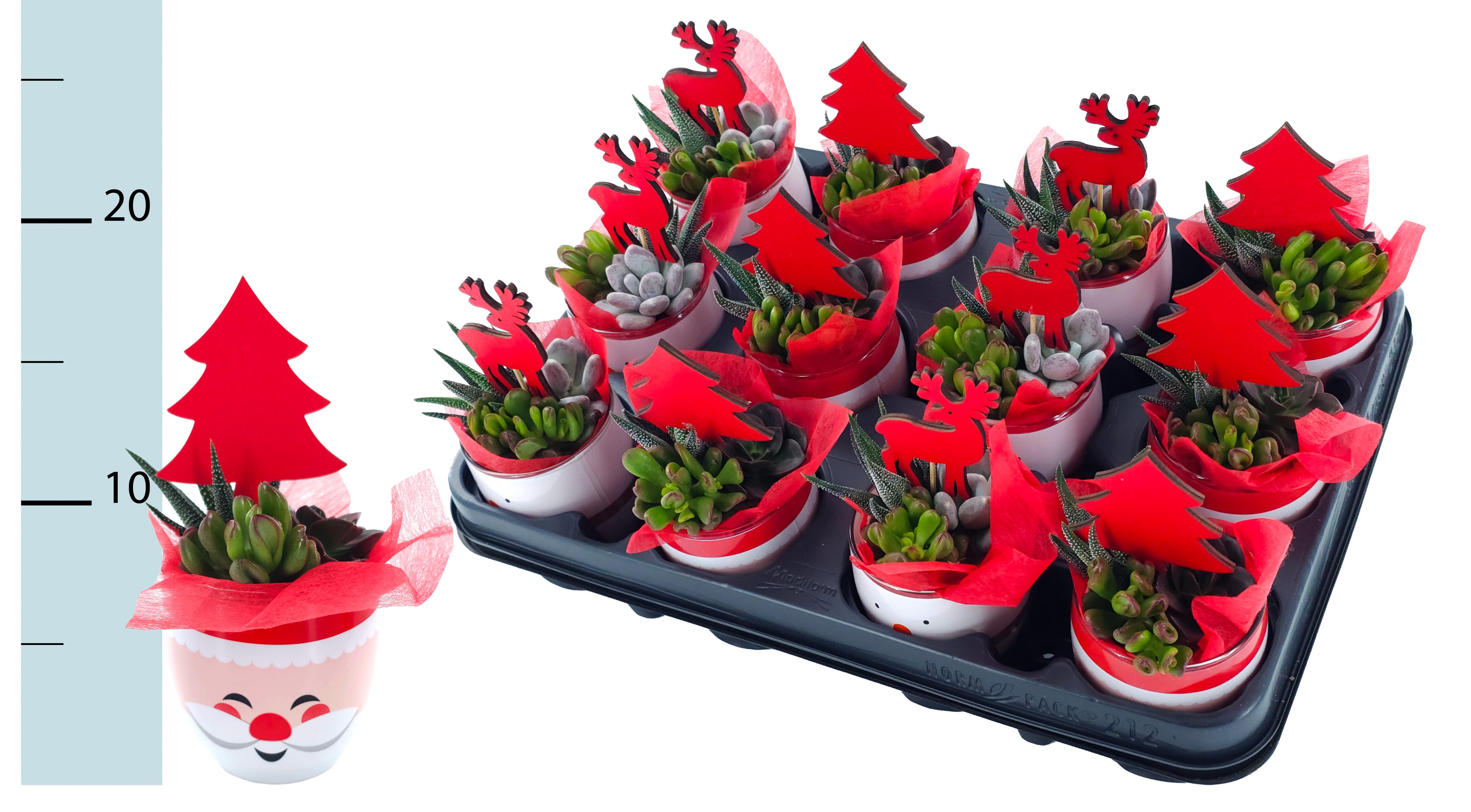 Arrangement Christmas 7Ø