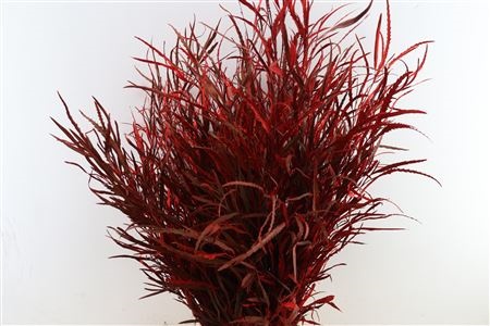 Decorative Greens Painted 90cm 200gram