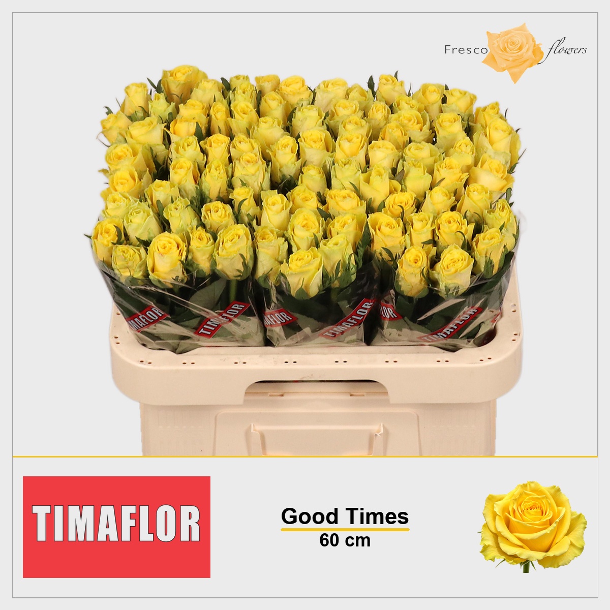 Rosa Good Times 60cm