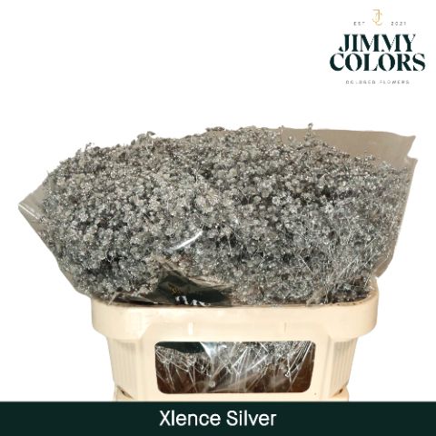 Gyps Xlence L70 Mtlc. Silver