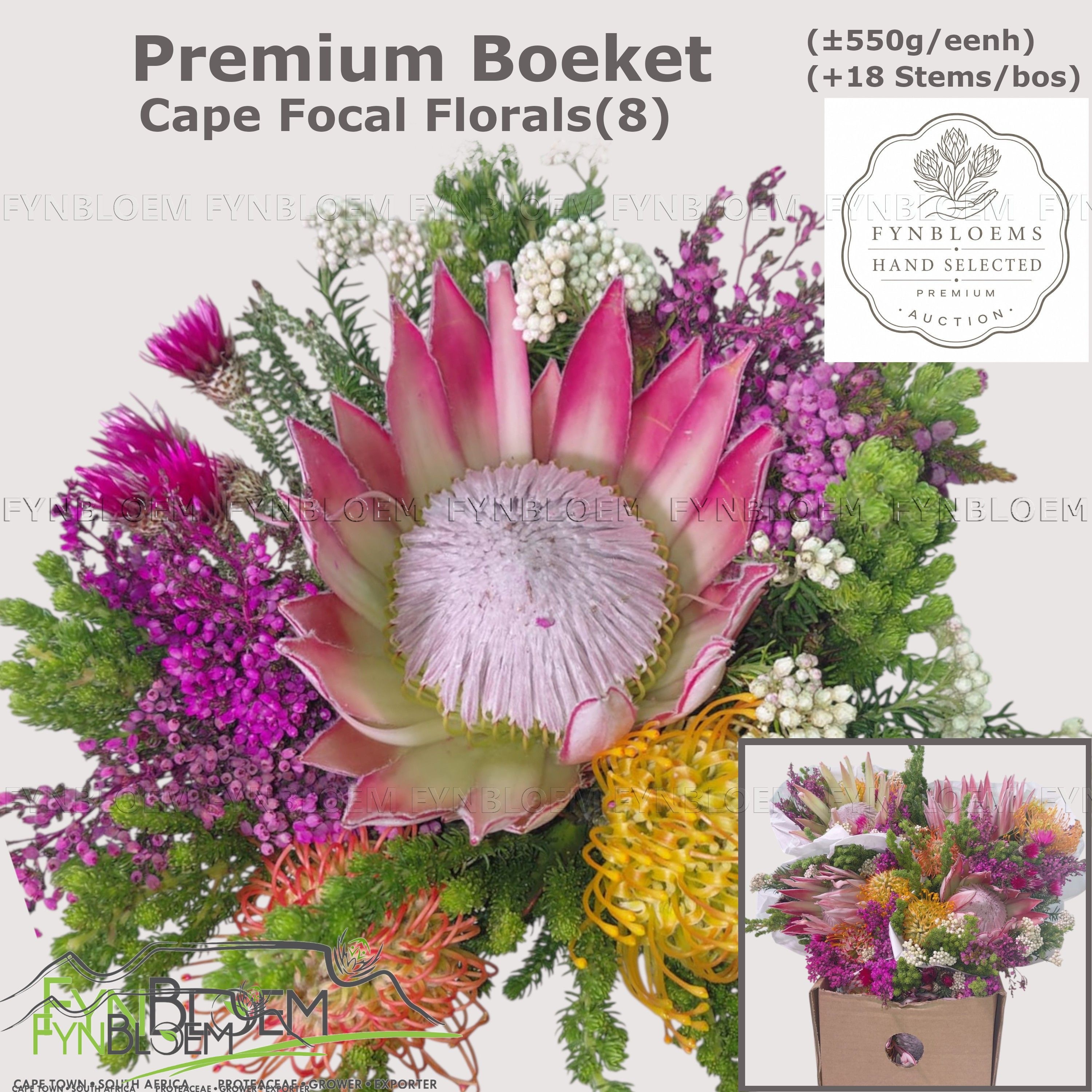 Protea Bouquet Per Bunch 40cm