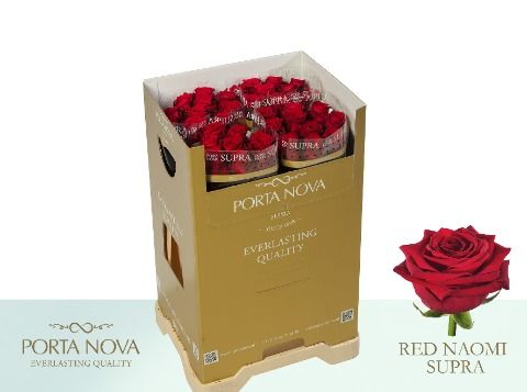 R Gr Red Naomi!