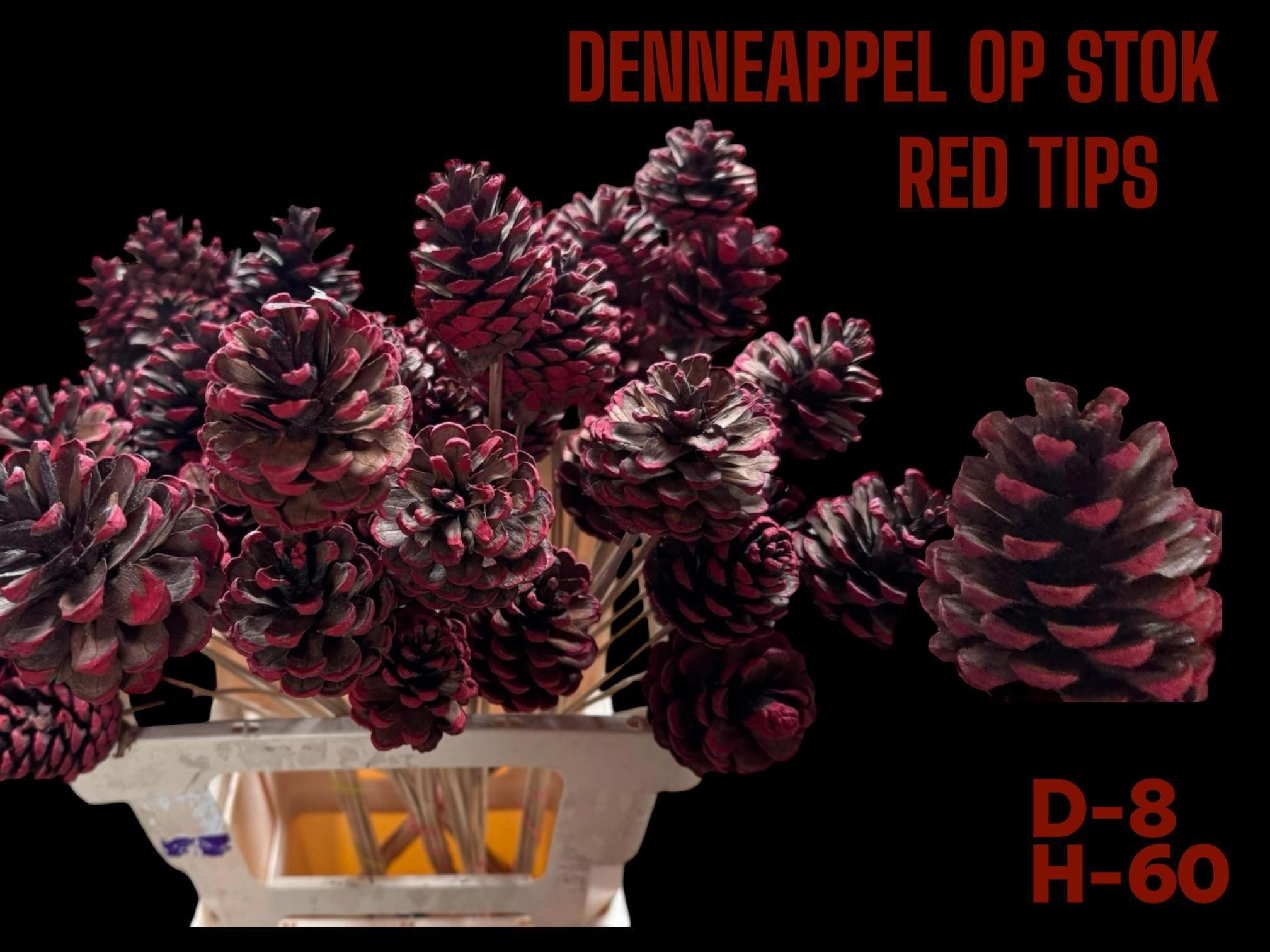 Dennenapp Op Stok H%