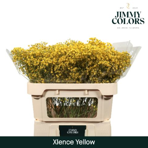 Gyps Xlence L70 Yellow