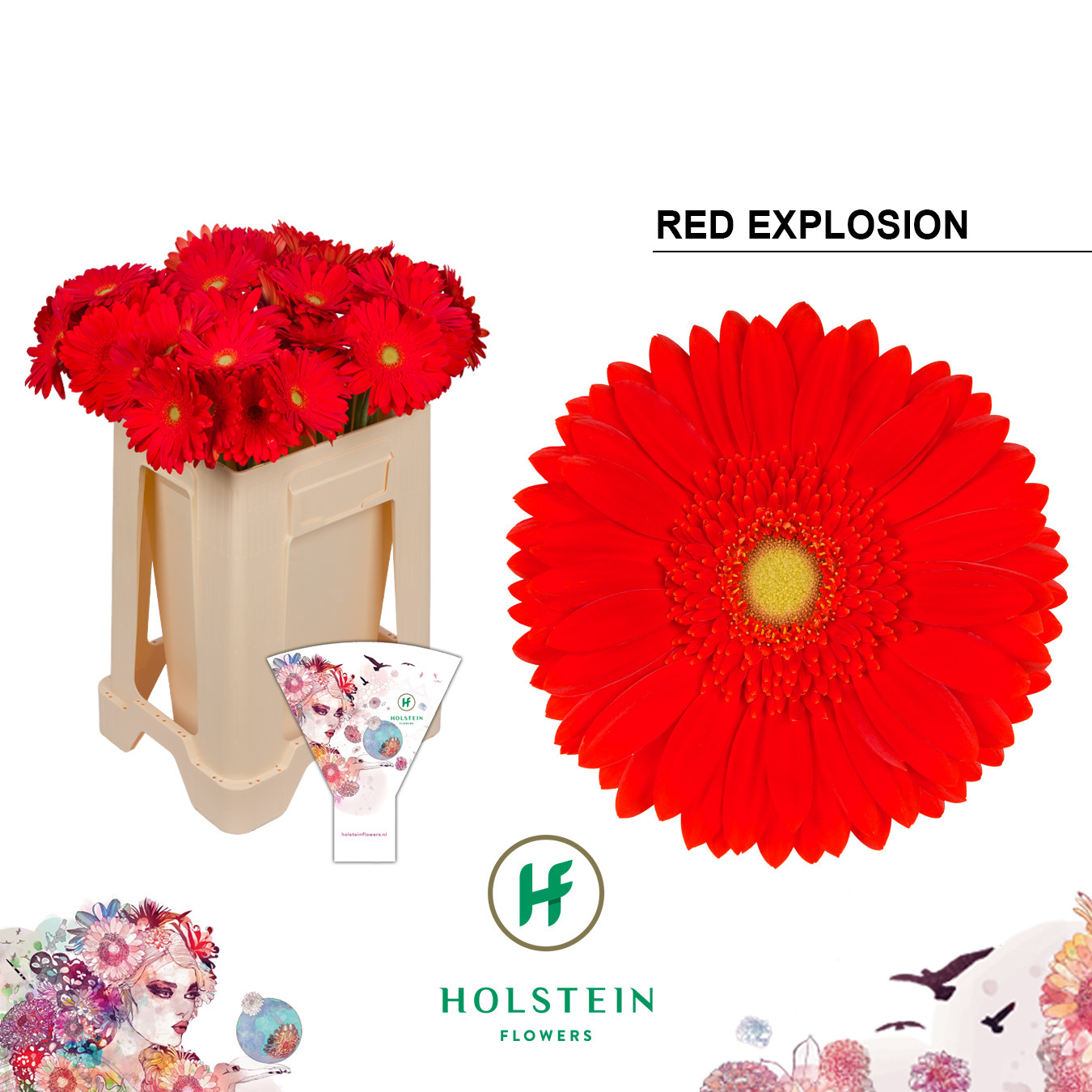 Ge Gr Red Explosion