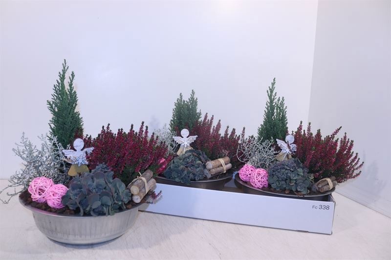 Arr Tuinplanten 25P 38cm