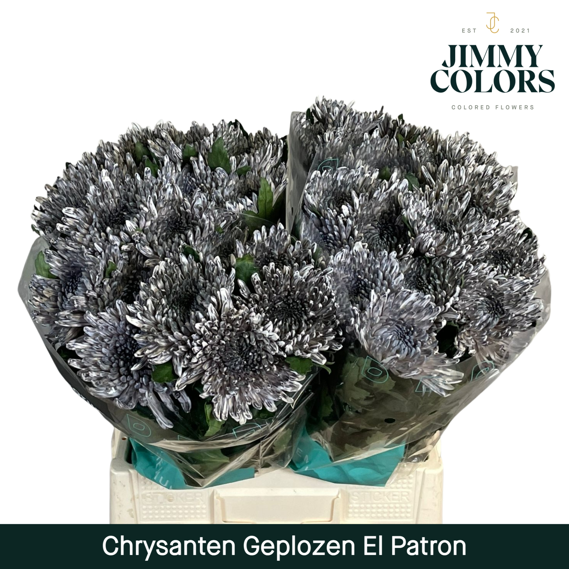 Chr G Topspin El Patron