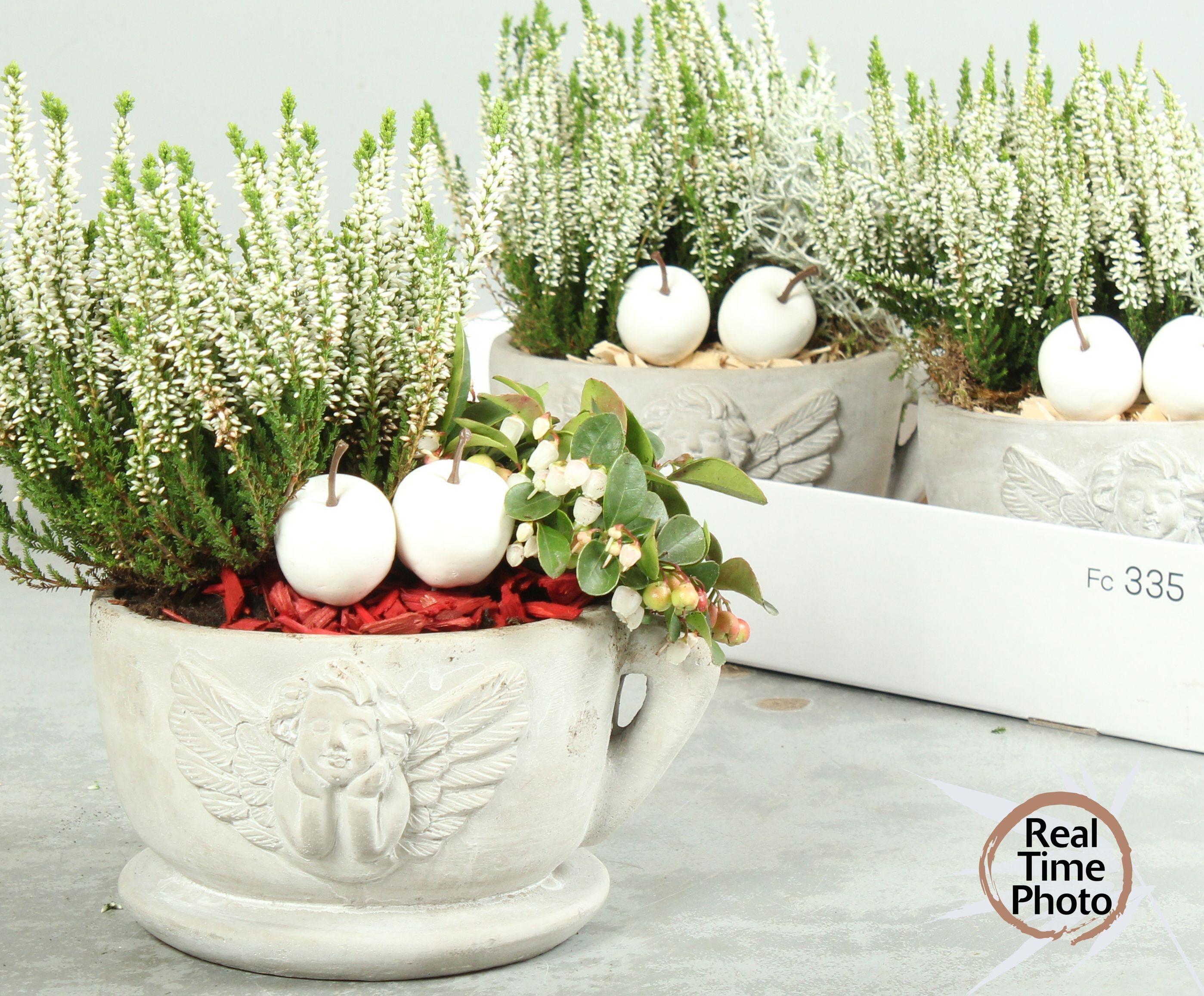 Arr Tuinplanten 19P 35cm