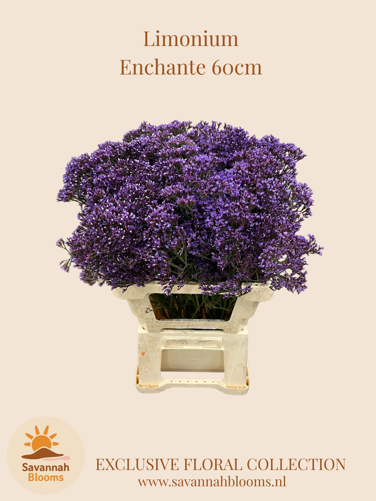 Lim Pe Enchante 60L.cm 30gram 23bloei