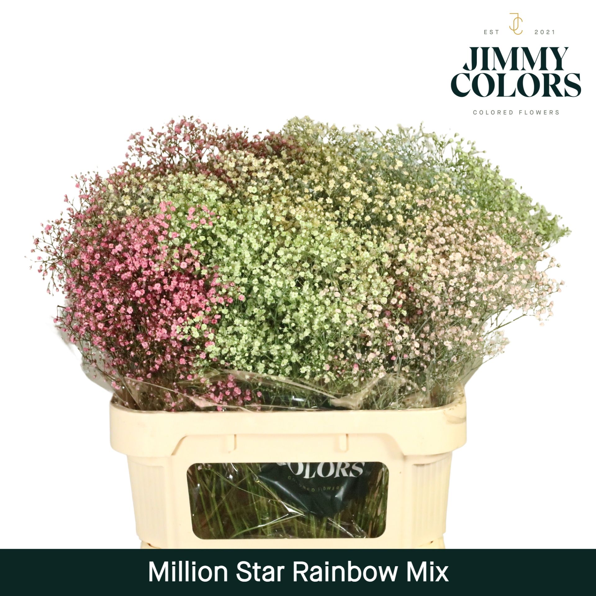 Gyps Million Star L80 Rainbow Mix
