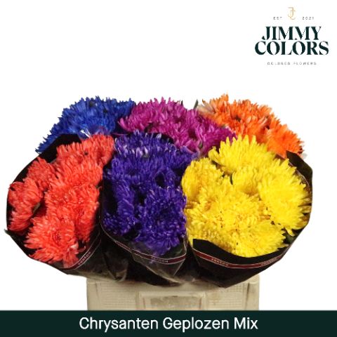 Chr G Topspin Mix