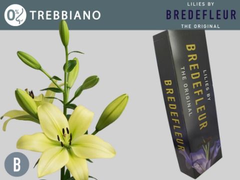 Li La Trebbiano