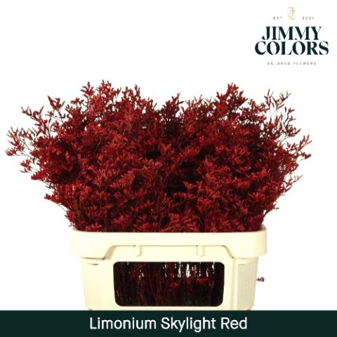 Lim Skylight L80 Red