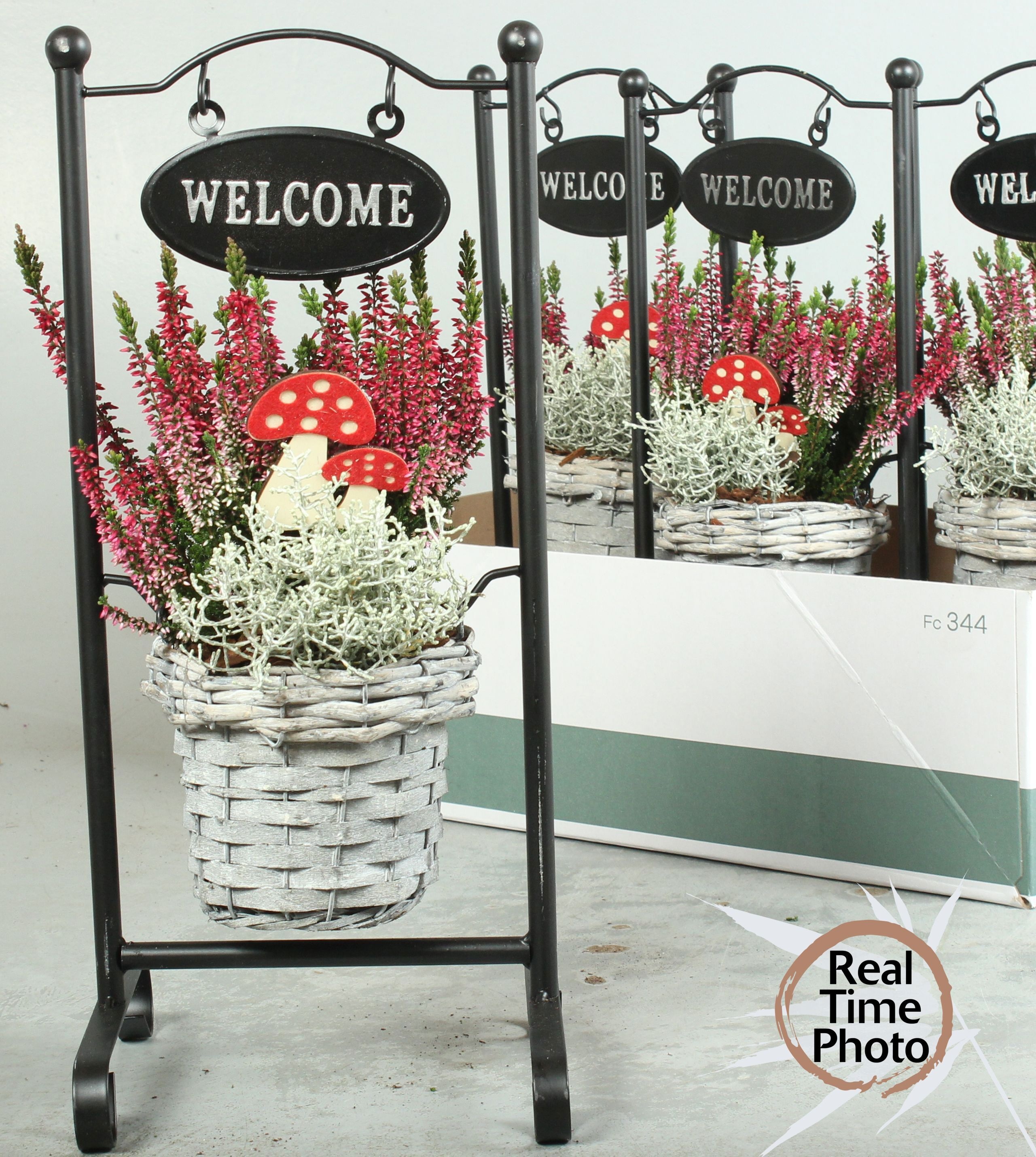 Arr Tuinplanten 20P 50cm