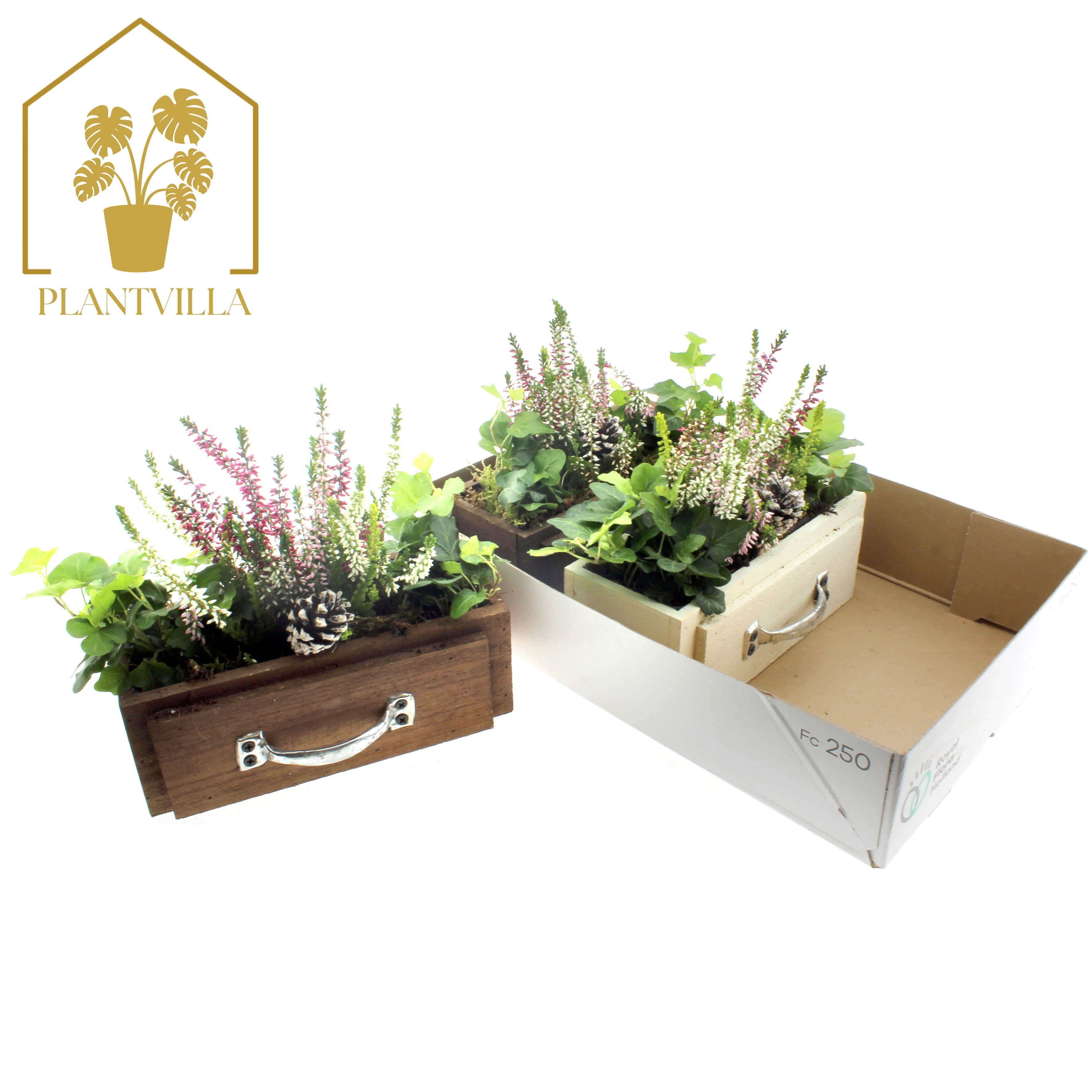 Arr Tuinplanten 30P 35cm 23bloei