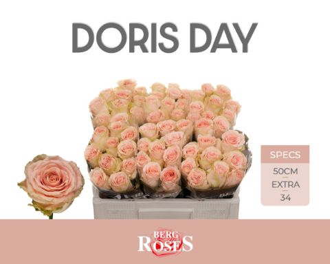 R Gr Doris Day
