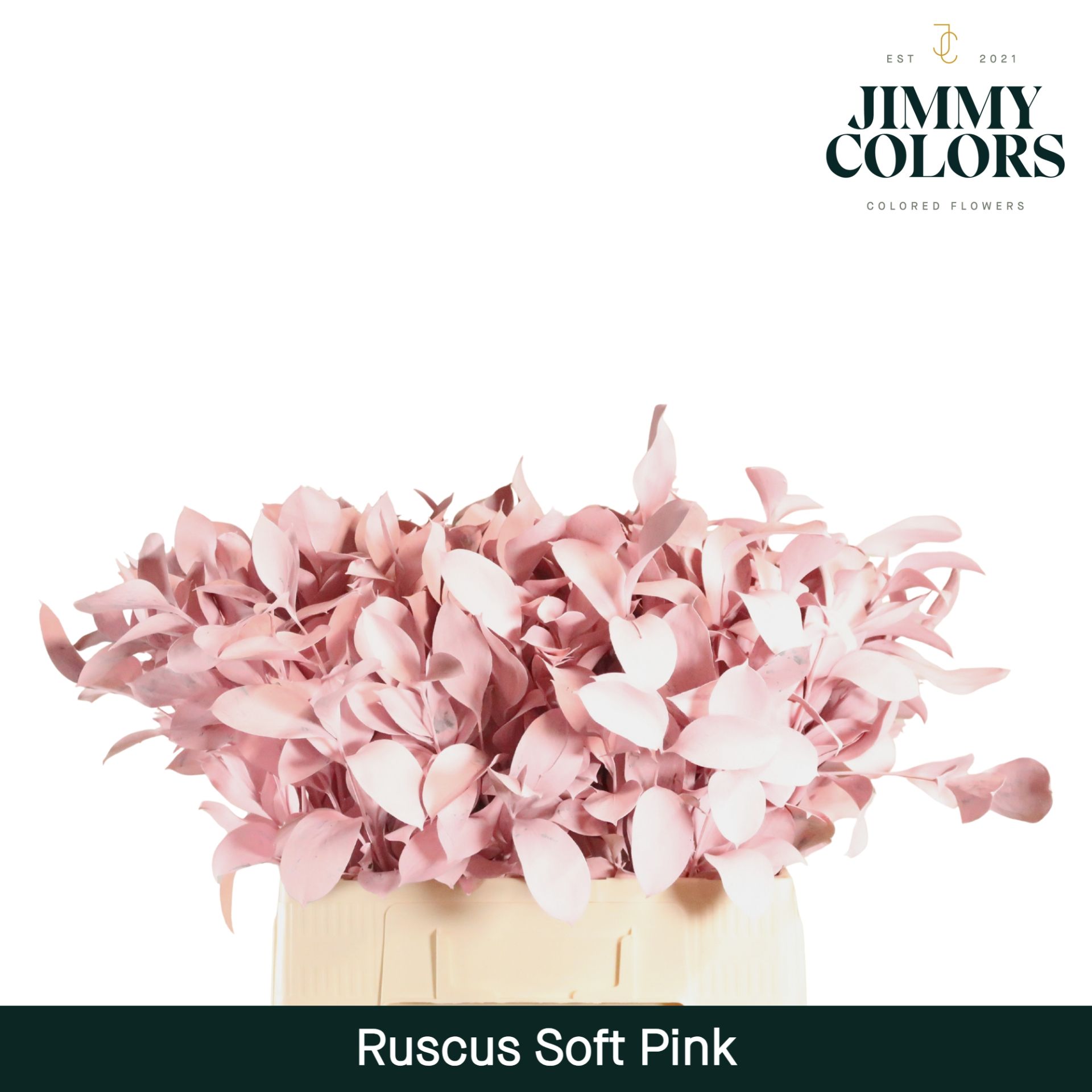 Ruscus L60 Soft Pink