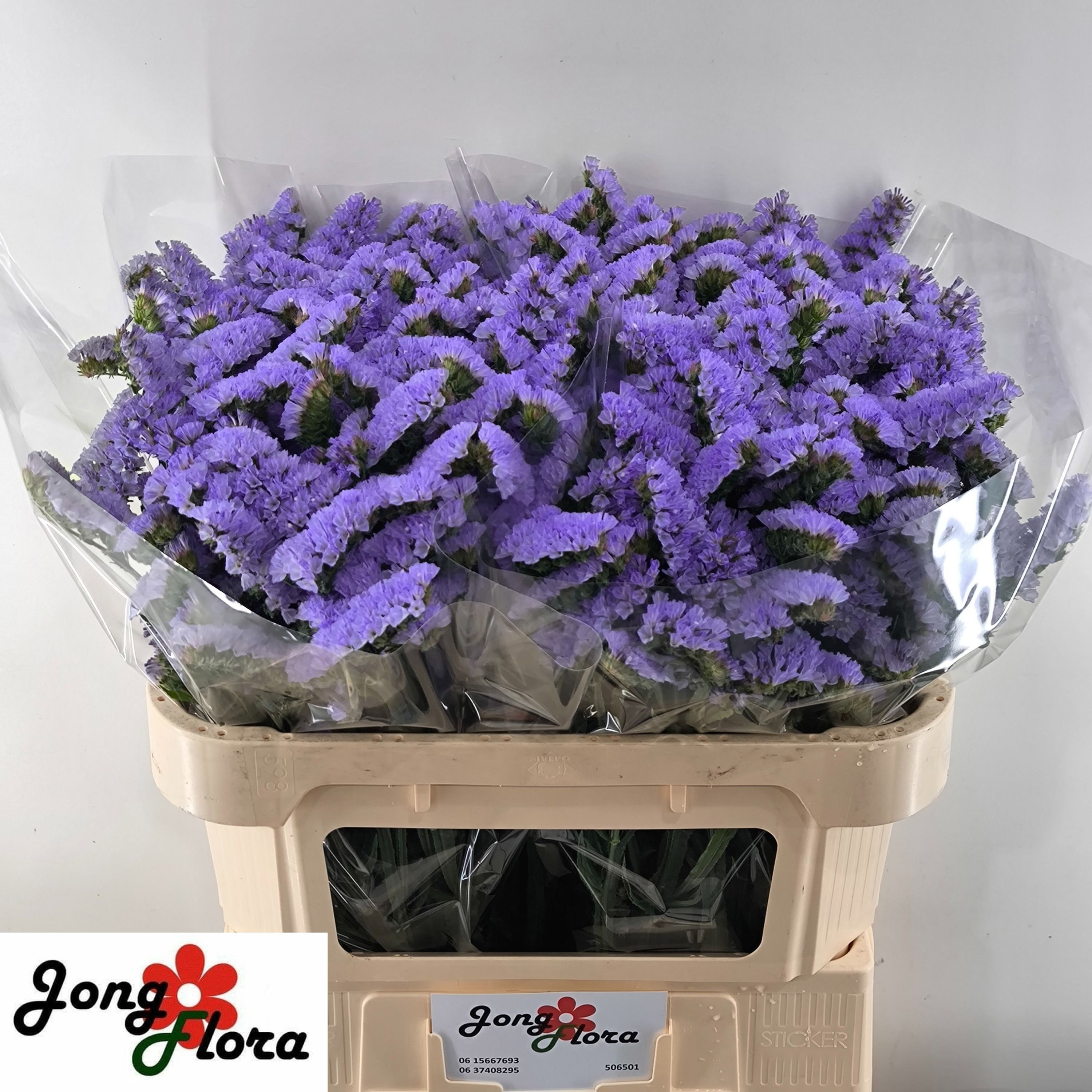 Lim S Sky Wings 70cm 35gram