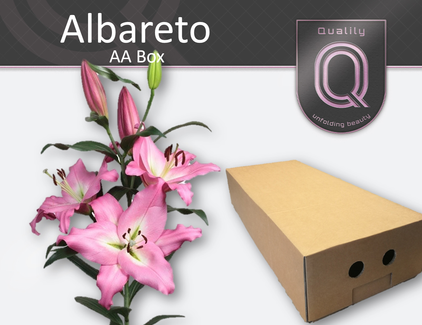 Li Ot Albareto