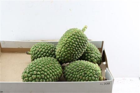 Ornamental Fruits Per Piece