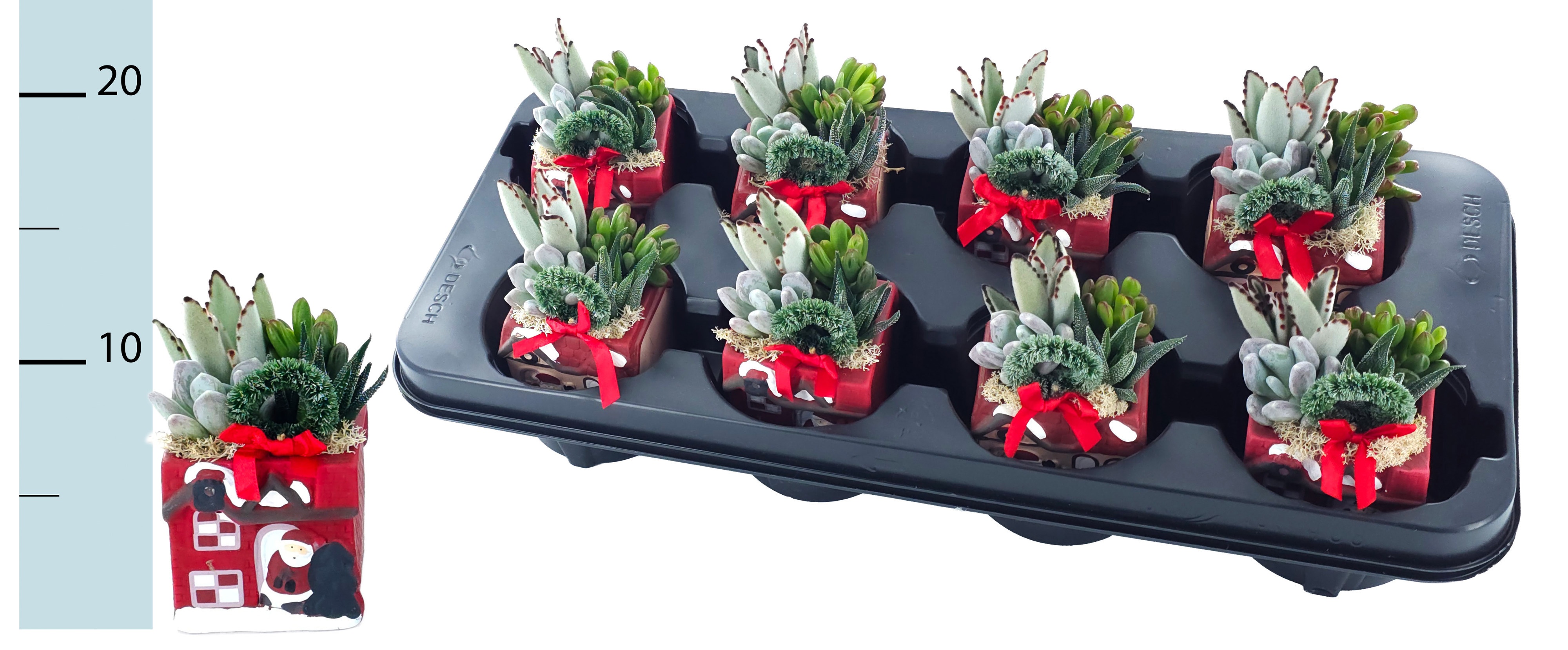 Arrangement Christmas 7Ø