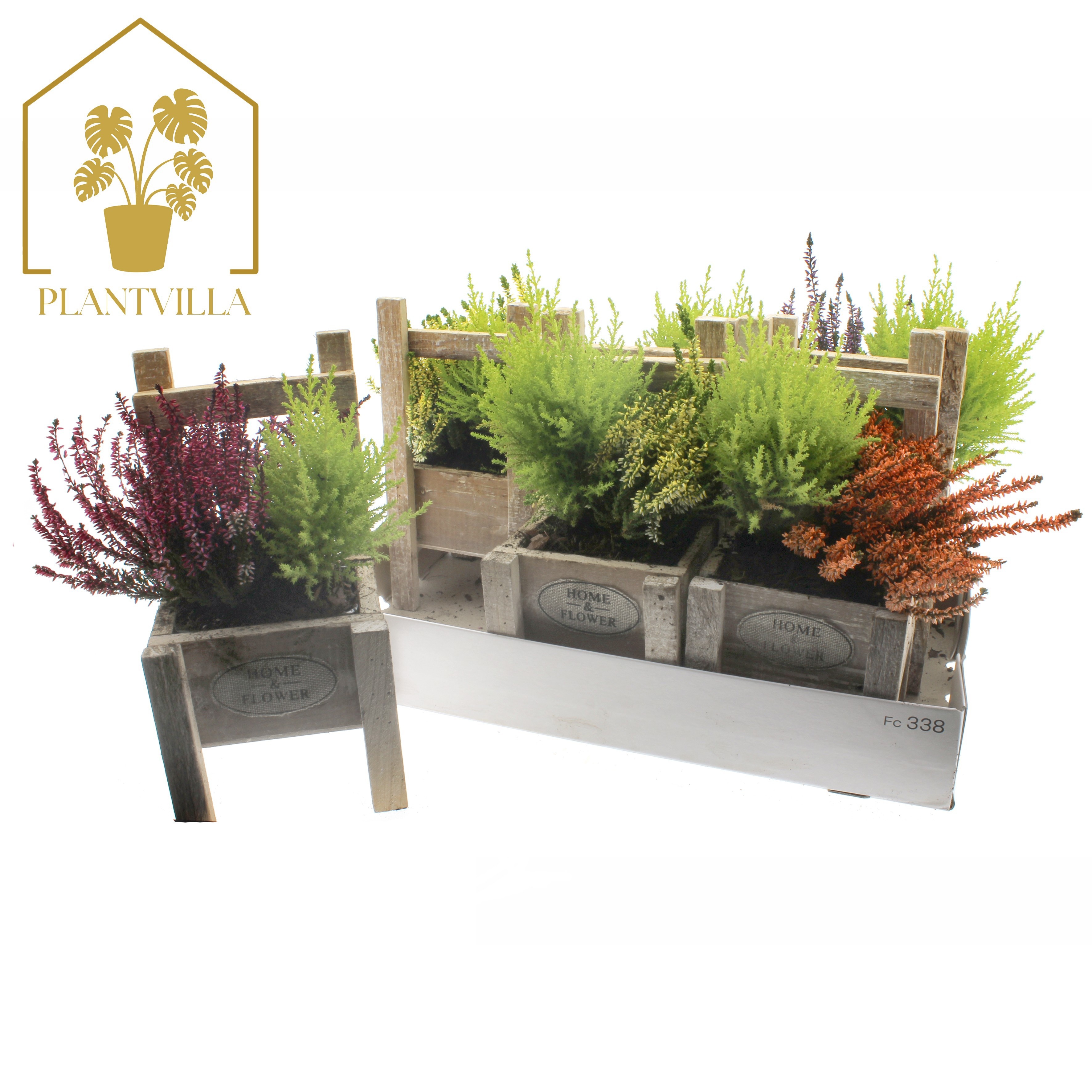 Arr Tuinplanten 15P 35cm 23bloei