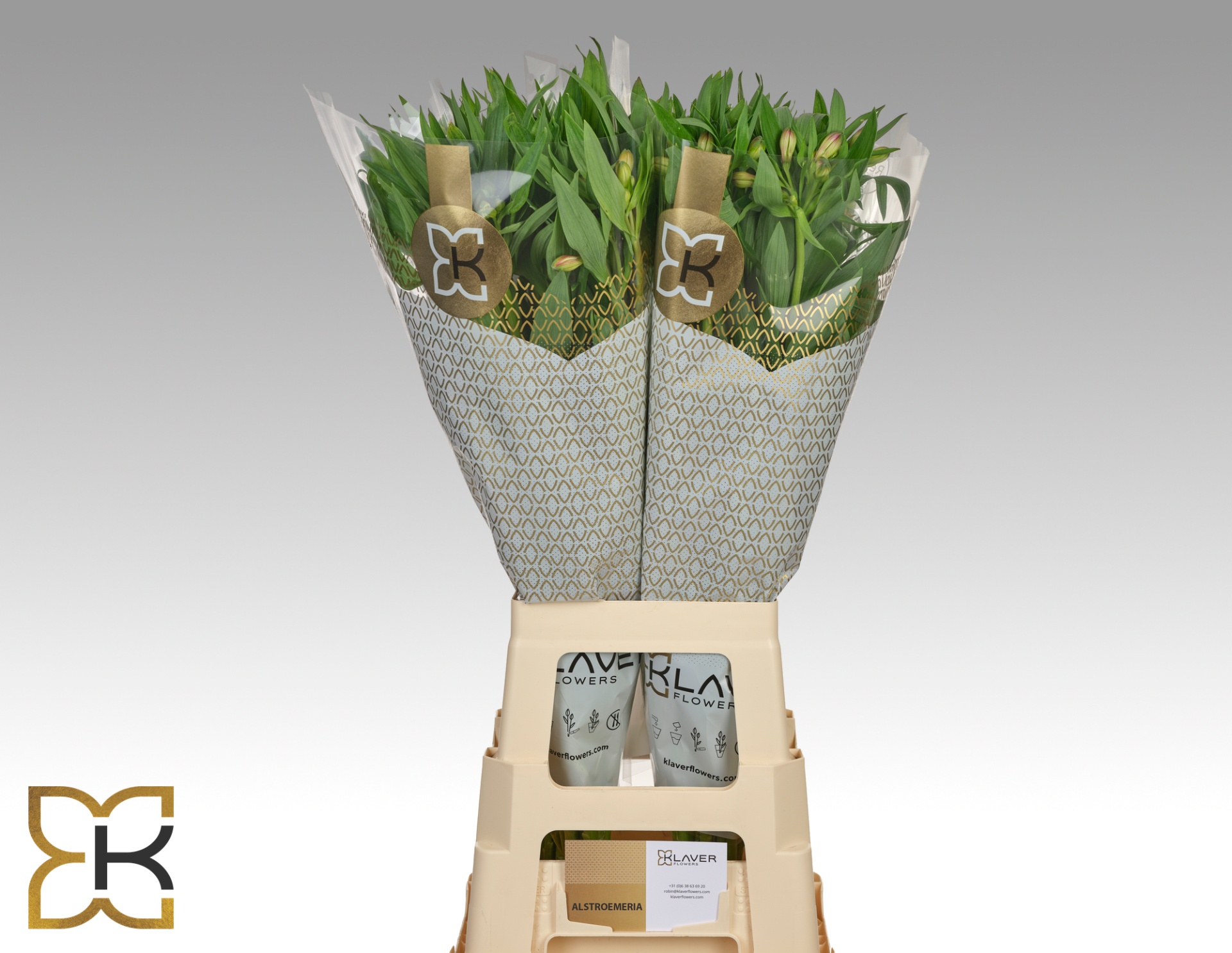 Alstr Assorted In Bucket 60cm 30gram