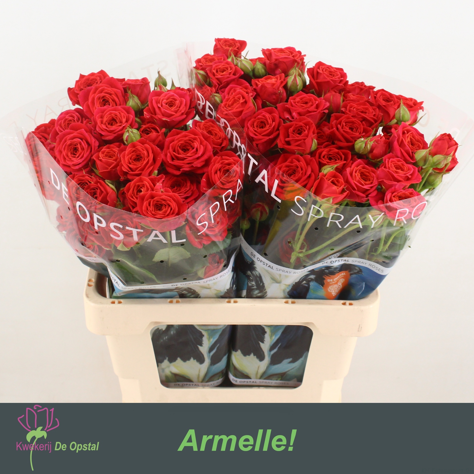 R Tr Armelle!