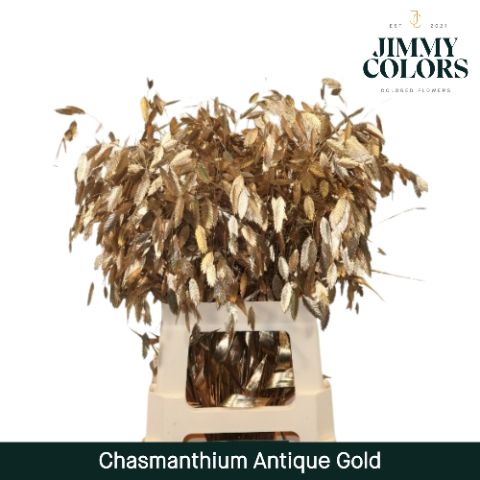 Chasmanthium L70 Antique Gold