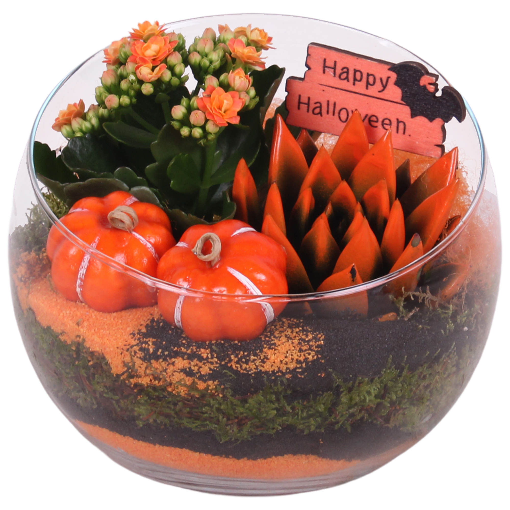 Picture of Halloween Arr. Indoor Glass Bowl 2PP P20 20CM