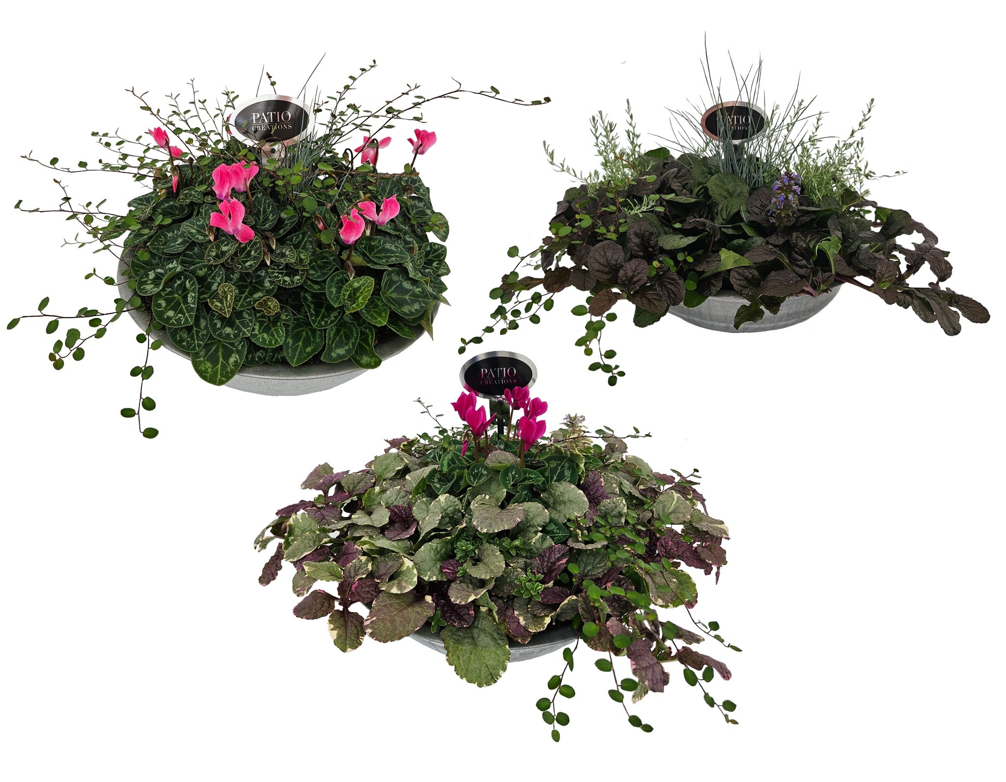 Autumn mix zinc bowl NJR602