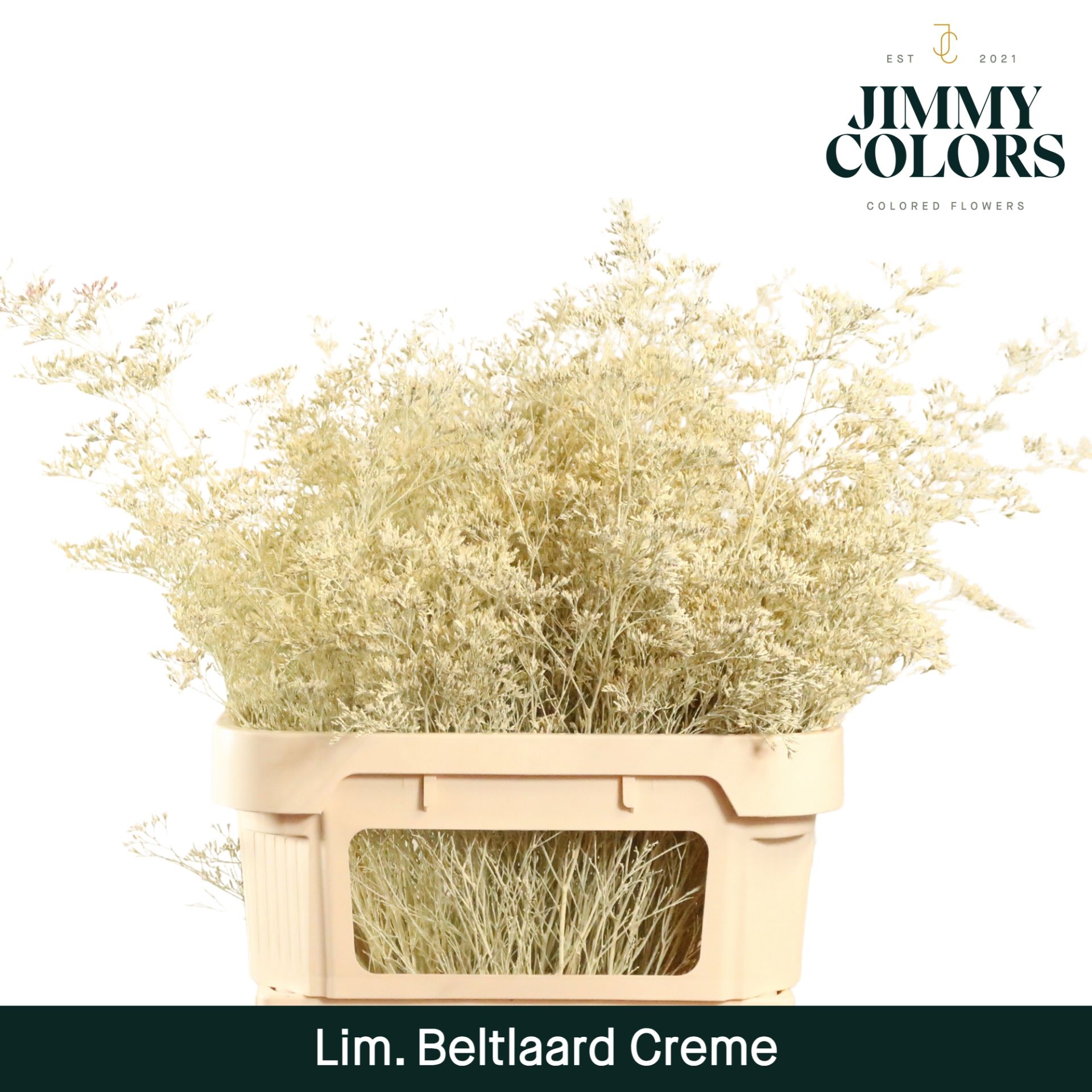 Lim Bel L90 Creme